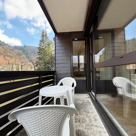 Renove Au Mont-dore, Connexion Wifi - 4 Pers. * Le Mont-Dore