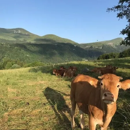 Rénové Au Mont-dore, Connexion Wifi - 4 Pers. - Fr-1-608-299 Apartamento Mont-Dore