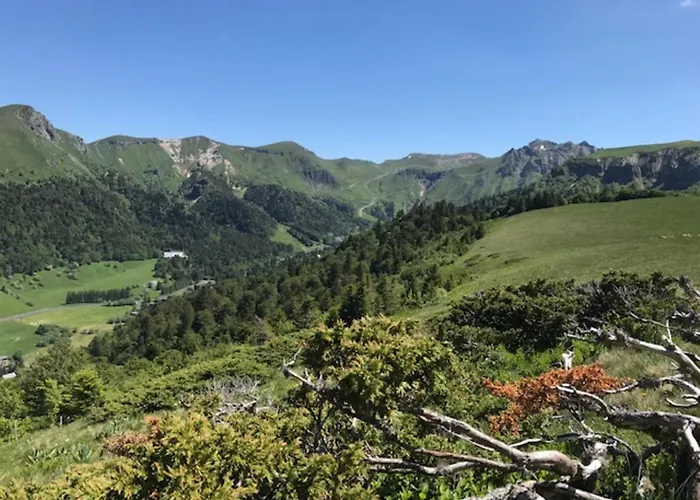 Apartamento Rénové Au Mont-dore, Connexion Wifi - 4 Pers. - Fr-1-608-299