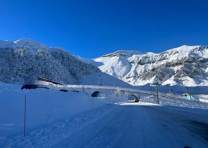 Rénové Au Mont-dore, Connexion Wifi - 4 Pers. - Fr-1-608-299 Apartamento