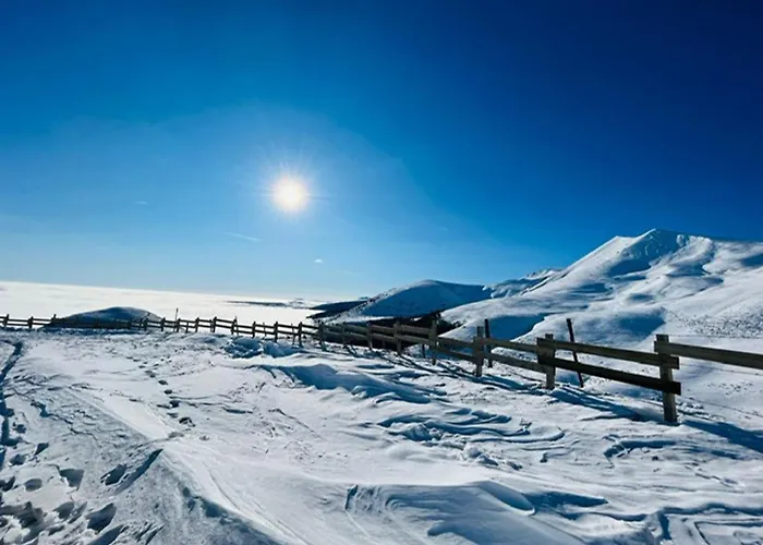 Apartamento Rénové Au Mont-dore, Connexion Wifi - 4 Pers. - Fr-1-608-299 Mont-Dore